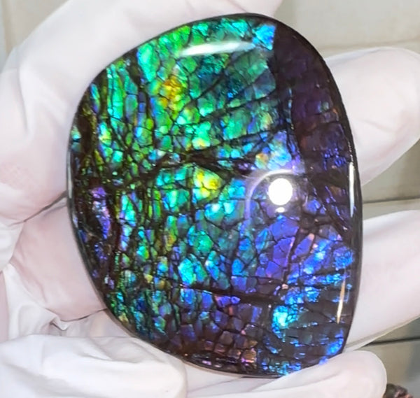 Vibrant purple! Loose stone, high grade rainbow color,Ammolite,Freeform, Cabochon 54x45mm,gemstone Canadian Ammonite,wrapping jewellery,Purple,Blue,Green. FC-274