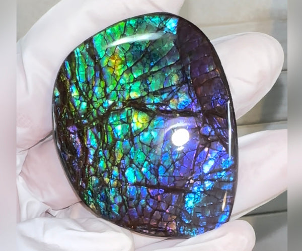 Vibrant purple! Loose stone, high grade rainbow color,Ammolite,Freeform, Cabochon 54x45mm,gemstone Canadian Ammonite,wrapping jewellery,Purple,Blue,Green. FC-274