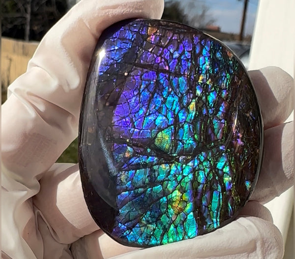 Vibrant purple! Loose stone, high grade rainbow color,Ammolite,Freeform, Cabochon 54x45mm,gemstone Canadian Ammonite,wrapping jewellery,Purple,Blue,Green. FC-274