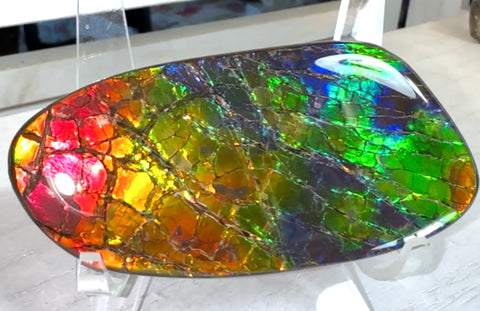 AAA grade,Rainbow colors,Ammolite Display Stone,Handheld Beautiful Specimen,Fossil,Metaphysical,Home Decor,Alberta fossil CS-259,Free shipping!