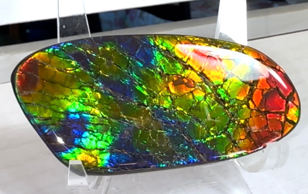 AAA grade,Rainbow colors,Ammolite Display Stone,Handheld Beautiful Specimen,Fossil,Metaphysical,Home Decor,Alberta fossil CS-259,Free shipping!