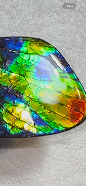 AAA grade,Rainbow colors,Ammolite Display Stone,Handheld Beautiful Specimen,Fossil,Metaphysical,Home Decor,Alberta fossil CS-259,Free shipping!