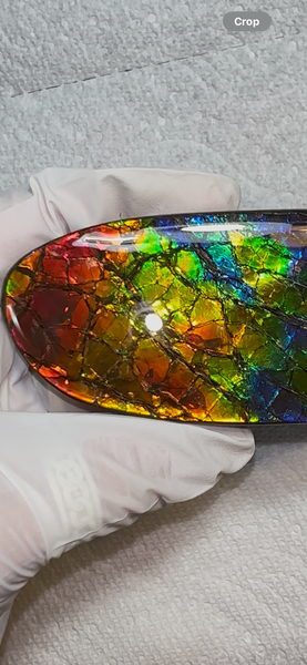 AAA grade,Rainbow colors,Ammolite Display Stone,Handheld Beautiful Specimen,Fossil,Metaphysical,Home Decor,Alberta fossil CS-259,Free shipping!