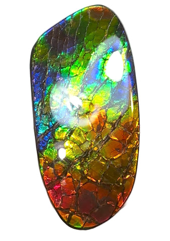 AAA grade,Rainbow colors,Ammolite Display Stone,Handheld Beautiful Specimen,Fossil,Metaphysical,Home Decor,Alberta fossil CS-259,Free shipping!