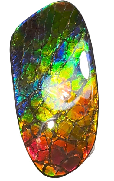 AAA grade,Rainbow colors,Ammolite Display Stone,Handheld Beautiful Specimen,Fossil,Metaphysical,Home Decor,Alberta fossil CS-259,Free shipping!