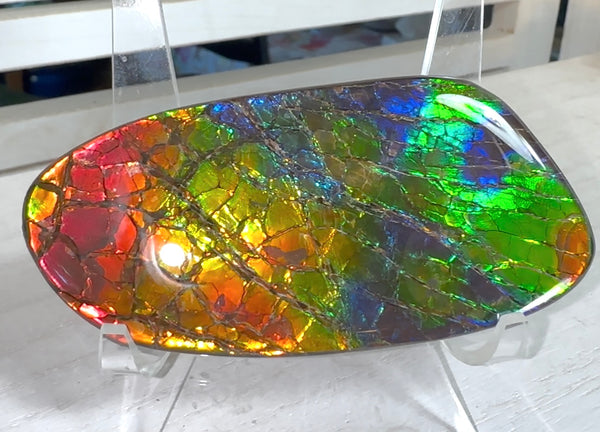 AAA grade,Rainbow colors,Ammolite Display Stone,Handheld Beautiful Specimen,Fossil,Metaphysical,Home Decor,Alberta fossil CS-259,Free shipping!