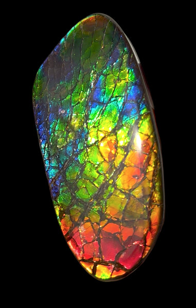 AAA grade,Rainbow colors,Ammolite Display Stone,Handheld Beautiful Specimen,Fossil,Metaphysical,Home Decor,Alberta fossil CS-259,Free shipping!