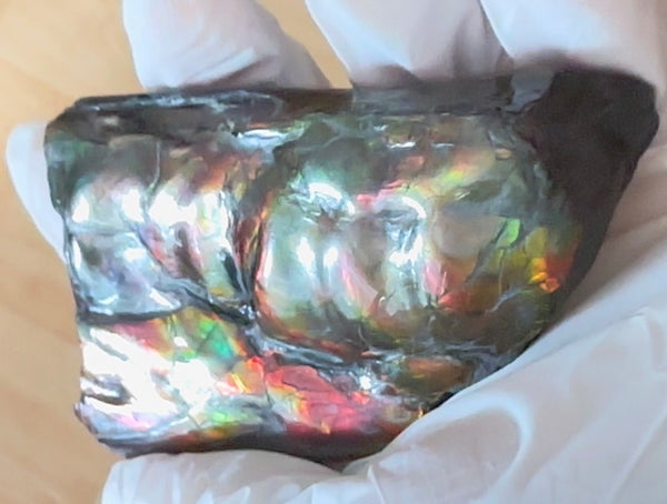 Baculite  Ammolite  Ammonite Partial Fossil  Hand Specimen Home Décor, AF-134***アンモライト 斑彩石 コレクターストーン