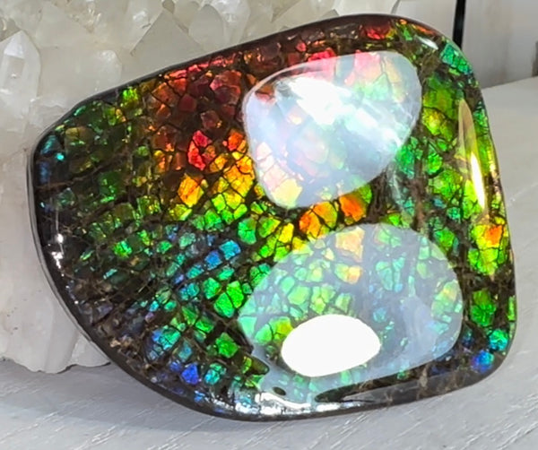 SALE! Rainbow colors,Ammolite Display Stone,Handheld Beautiful Specimen,Fossil,Metaphysical,Home Decor,Alberta fossil CS-263 Free shipping!