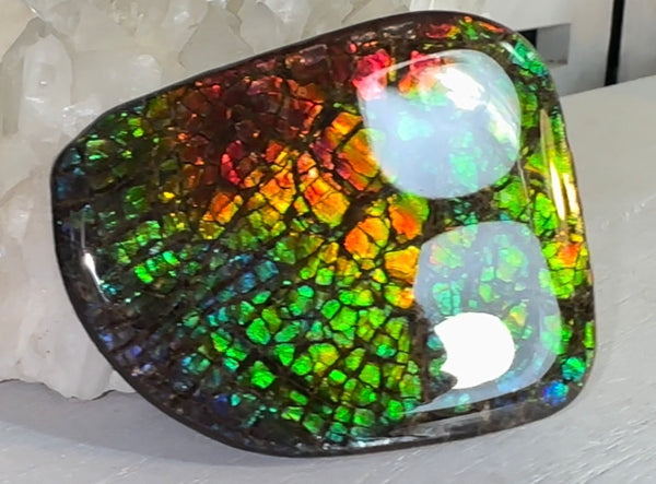 SALE! Rainbow colors,Ammolite Display Stone,Handheld Beautiful Specimen,Fossil,Metaphysical,Home Decor,Alberta fossil CS-263 Free shipping!