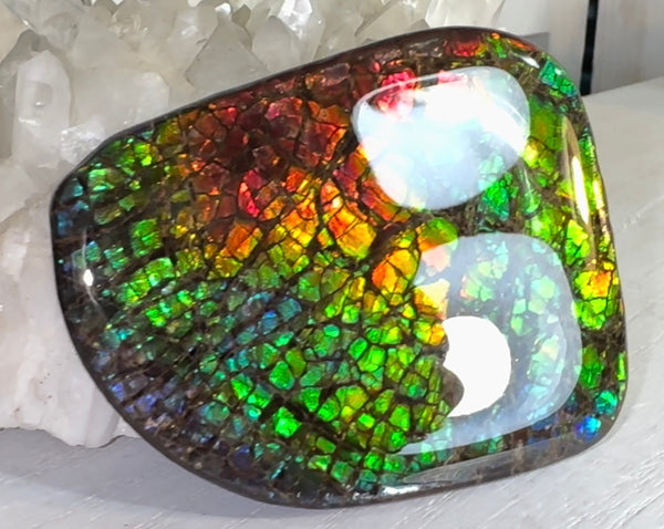 SALE! Rainbow colors,Ammolite Display Stone,Handheld Beautiful Specimen,Fossil,Metaphysical,Home Decor,Alberta fossil CS-263 Free shipping!