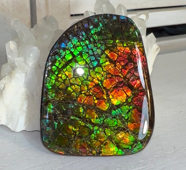 SALE! Rainbow colors,Ammolite Display Stone,Handheld Beautiful Specimen,Fossil,Metaphysical,Home Decor,Alberta fossil CS-263 Free shipping!
