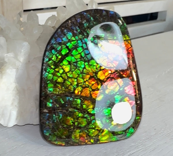 SALE! Rainbow colors,Ammolite Display Stone,Handheld Beautiful Specimen,Fossil,Metaphysical,Home Decor,Alberta fossil CS-263 Free shipping!
