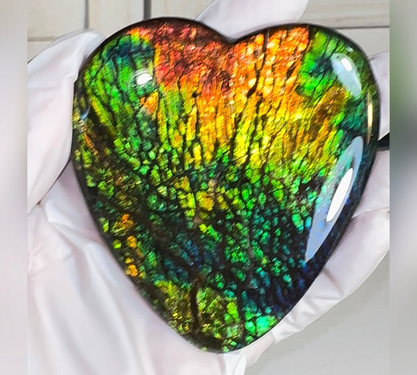 SALE! XL heart-shaped,Rainbow colors,Ammolite Display Stone,Handheld Beautiful Specimen,Fossil,Metaphysical,Home Decor,Alberta fossil CS-262 Free shipping!