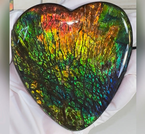SALE! XL heart-shaped,Rainbow colors,Ammolite Display Stone,Handheld Beautiful Specimen,Fossil,Metaphysical,Home Decor,Alberta fossil CS-262 Free shipping!