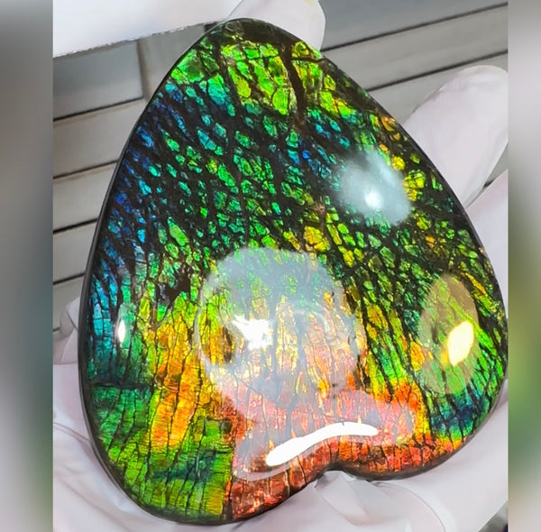 SALE! XL heart-shaped,Rainbow colors,Ammolite Display Stone,Handheld Beautiful Specimen,Fossil,Metaphysical,Home Decor,Alberta fossil CS-262 Free shipping!