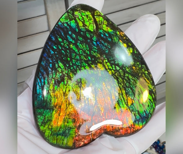 SALE! XL heart-shaped,Rainbow colors,Ammolite Display Stone,Handheld Beautiful Specimen,Fossil,Metaphysical,Home Decor,Alberta fossil CS-262 Free shipping!