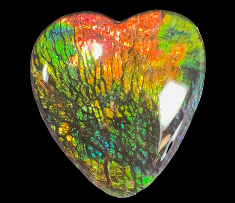 SALE! XL heart-shaped,Rainbow colors,Ammolite Display Stone,Handheld Beautiful Specimen,Fossil,Metaphysical,Home Decor,Alberta fossil CS-262 Free shipping!