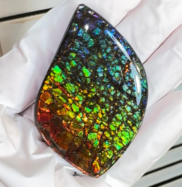 SALE! Large,Rainbow! Color, Loose stone, high grade rainbow color,Ammolite,Freeform, Cabochon,gemstone Canadian Ammonite,wrapping jewellery,Rainbow colours,FC-279