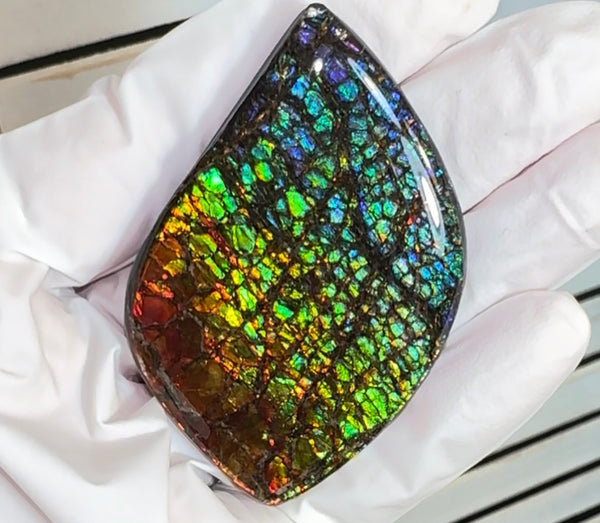 SALE! Large,Rainbow! Color, Loose stone, high grade rainbow color,Ammolite,Freeform, Cabochon,gemstone Canadian Ammonite,wrapping jewellery,Rainbow colours,FC-279