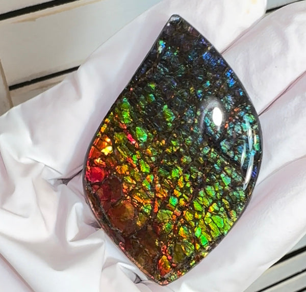 SALE! Large,Rainbow! Color, Loose stone, high grade rainbow color,Ammolite,Freeform, Cabochon,gemstone Canadian Ammonite,wrapping jewellery,Rainbow colours,FC-279