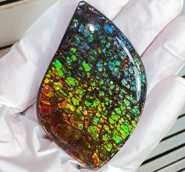 SALE! Large,Rainbow! Color, Loose stone, high grade rainbow color,Ammolite,Freeform, Cabochon,gemstone Canadian Ammonite,wrapping jewellery,Rainbow colours,FC-279