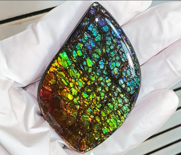 SALE! Large,Rainbow! Color, Loose stone, high grade rainbow color,Ammolite,Freeform, Cabochon,gemstone Canadian Ammonite,wrapping jewellery,Rainbow colours,FC-279