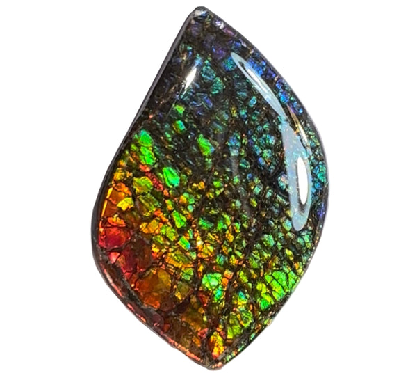 SALE! Large,Rainbow! Color, Loose stone, high grade rainbow color,Ammolite,Freeform, Cabochon,gemstone Canadian Ammonite,wrapping jewellery,Rainbow colours,FC-279