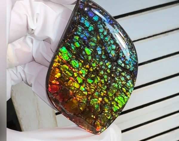 SALE! Large,Rainbow! Color, Loose stone, high grade rainbow color,Ammolite,Freeform, Cabochon,gemstone Canadian Ammonite,wrapping jewellery,Rainbow colours,FC-279