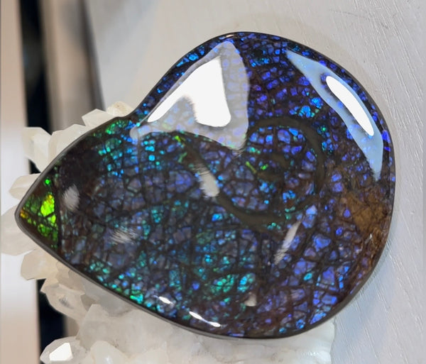 Ammonite-shaped,Purple blue and green,Ammolite Display Stone,Handheld Beautiful Specimen,Fossil,Metaphysical,Home Decor,Alberta fossil CS-264