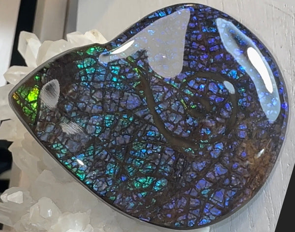 Ammonite-shaped,Purple blue and green,Ammolite Display Stone,Handheld Beautiful Specimen,Fossil,Metaphysical,Home Decor,Alberta fossil CS-264