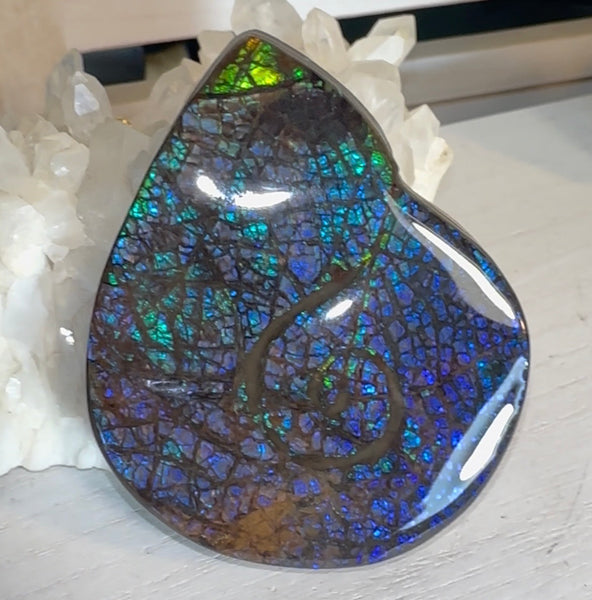 Ammonite-shaped,Purple blue and green,Ammolite Display Stone,Handheld Beautiful Specimen,Fossil,Metaphysical,Home Decor,Alberta fossil CS-264