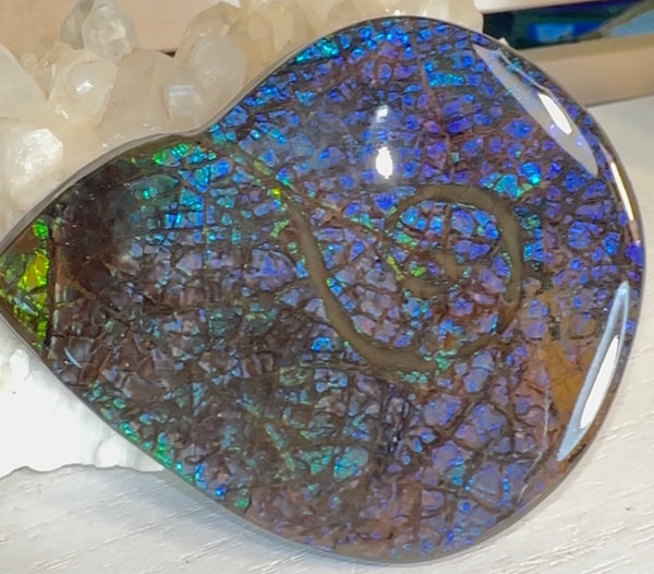 Ammonite-shaped,Purple blue and green,Ammolite Display Stone,Handheld Beautiful Specimen,Fossil,Metaphysical,Home Decor,Alberta fossil CS-264