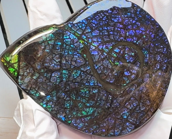 Ammonite-shaped,Purple blue and green,Ammolite Display Stone,Handheld Beautiful Specimen,Fossil,Metaphysical,Home Decor,Alberta fossil CS-264