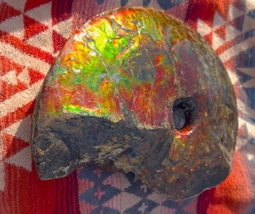 SALE!! Ammolite ,Placenticeras meeki, Double-Sided, Specimen, Fossil,Ammonite, Collector Stone,Home decor,**FREE SHIPPING***　AF-127