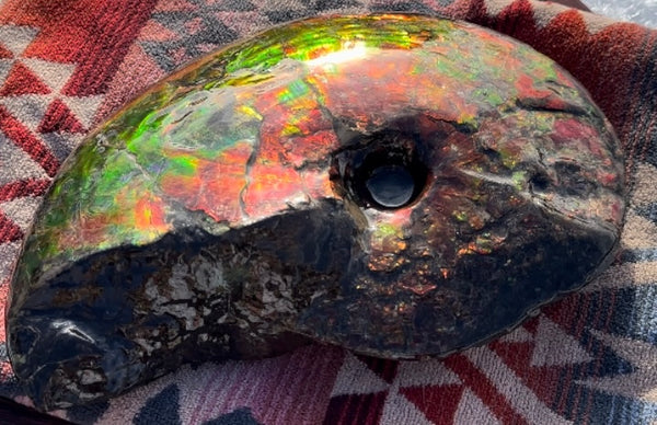 SALE!! Ammolite ,Placenticeras meeki, Double-Sided, Specimen, Fossil,Ammonite, Collector Stone,Home decor,**FREE SHIPPING***　AF-127
