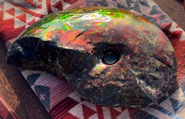SALE!! Ammolite ,Placenticeras meeki, Double-Sided, Specimen, Fossil,Ammonite, Collector Stone,Home decor,**FREE SHIPPING***　AF-127