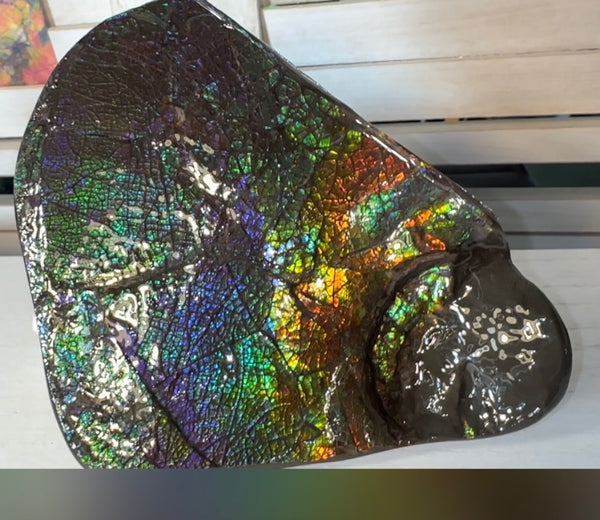 6.89" Stunning Double-sided, Rainbow colour! Ammolite Center Piece,Display Stone,Handheld Specimen 87mm,Fossil,Metaphysical,FREE STANDING