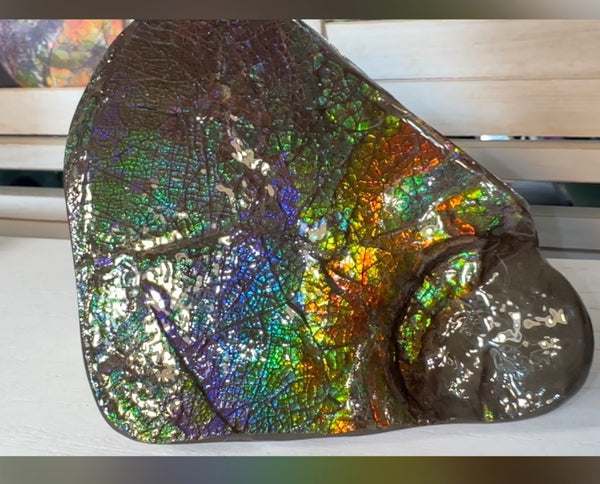 6.89" Stunning Double-sided, Rainbow colour! Ammolite Center Piece,Display Stone,Handheld Specimen 87mm,Fossil,Metaphysical,FREE STANDING