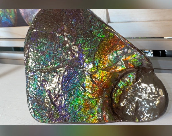 6.89" Stunning Double-sided, Rainbow colour! Ammolite Center Piece,Display Stone,Handheld Specimen 87mm,Fossil,Metaphysical,FREE STANDING