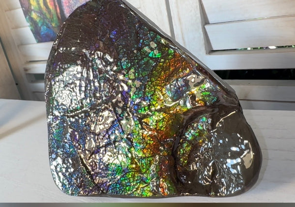 6.89" Stunning Double-sided, Rainbow colour! Ammolite Center Piece,Display Stone,Handheld Specimen 87mm,Fossil,Metaphysical,FREE STANDING