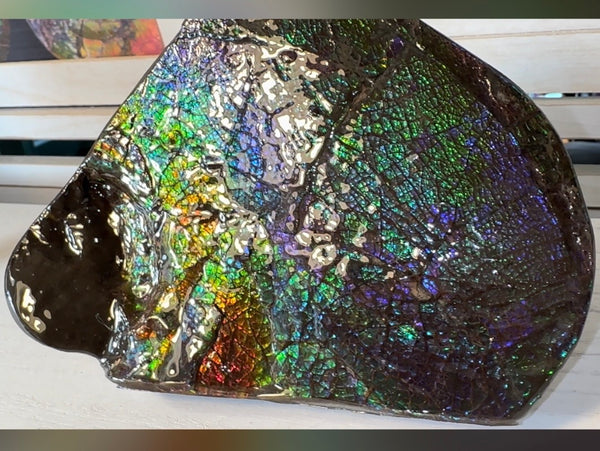 6.89" Stunning Double-sided, Rainbow colour! Ammolite Center Piece,Display Stone,Handheld Specimen 87mm,Fossil,Metaphysical,FREE STANDING