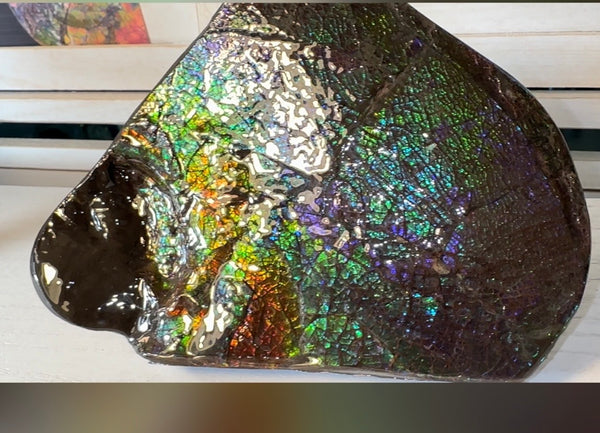 6.89" Stunning Double-sided, Rainbow colour! Ammolite Center Piece,Display Stone,Handheld Specimen 87mm,Fossil,Metaphysical,FREE STANDING