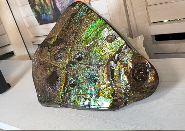 6.89" Stunning Double-sided, Rainbow colour! Ammolite Center Piece,Display Stone,Handheld Specimen 87mm,Fossil,Metaphysical,FREE STANDING