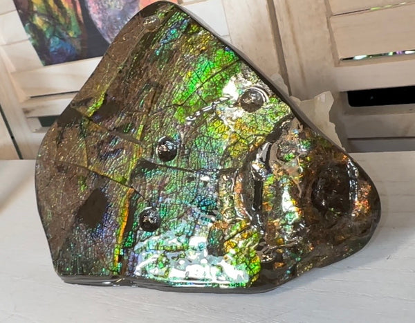 6.89" Stunning Double-sided, Rainbow colour! Ammolite Center Piece,Display Stone,Handheld Specimen 87mm,Fossil,Metaphysical,FREE STANDING
