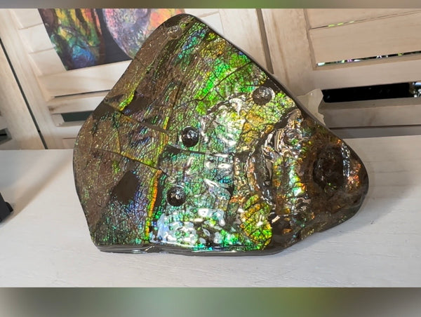 6.89" Stunning Double-sided, Rainbow colour! Ammolite Center Piece,Display Stone,Handheld Specimen 87mm,Fossil,Metaphysical,FREE STANDING