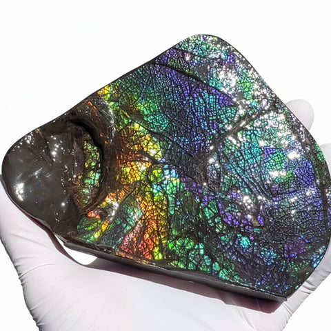 6.89" Stunning Double-sided, Rainbow colour! Ammolite Center Piece,Display Stone,Handheld Specimen 87mm,Fossil,Metaphysical,FREE STANDING