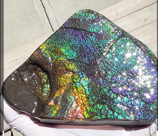 6.89" Stunning Double-sided, Rainbow colour! Ammolite Center Piece,Display Stone,Handheld Specimen 87mm,Fossil,Metaphysical,FREE STANDING