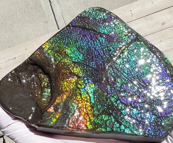 6.89" Stunning Double-sided, Rainbow colour! Ammolite Center Piece,Display Stone,Handheld Specimen 87mm,Fossil,Metaphysical,FREE STANDING