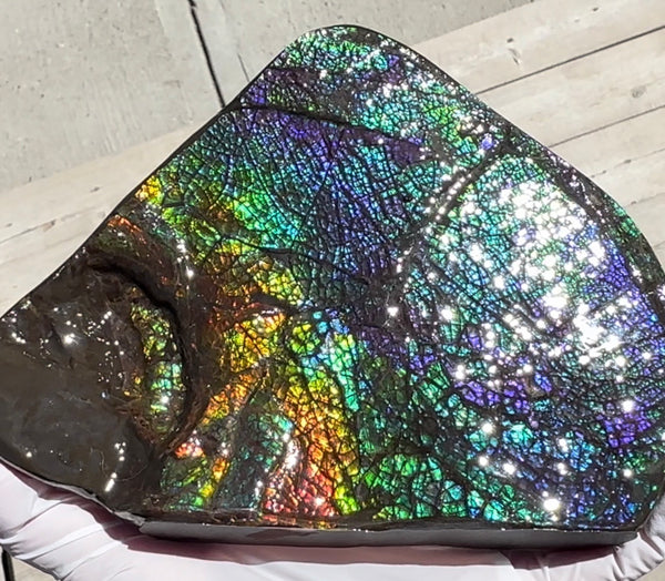 6.89" Stunning Double-sided, Rainbow colour! Ammolite Center Piece,Display Stone,Handheld Specimen 87mm,Fossil,Metaphysical,FREE STANDING